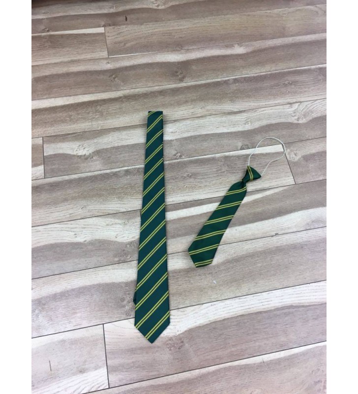 CBS Green School Primary Elastic Tie